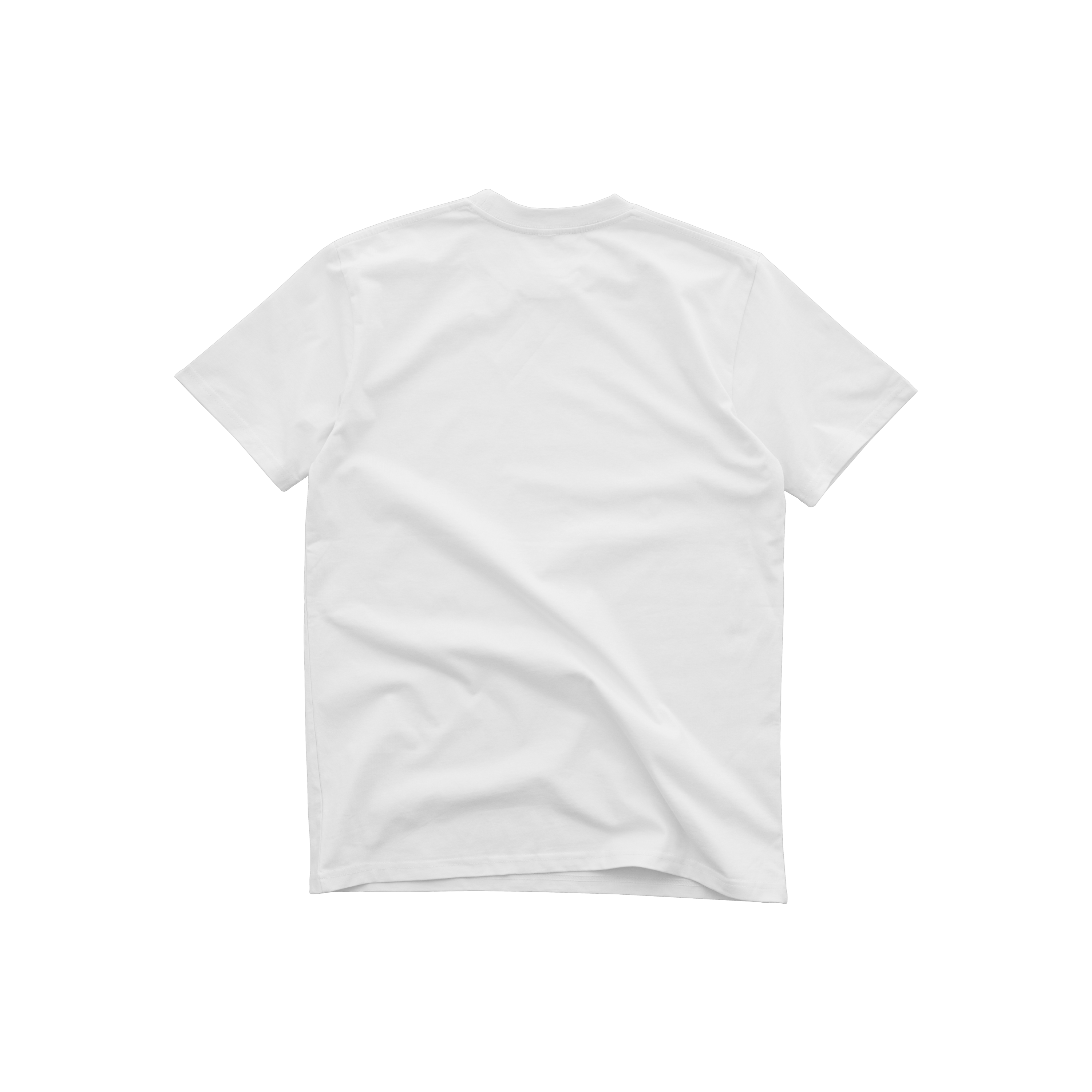 Heavy T-Shirt 002