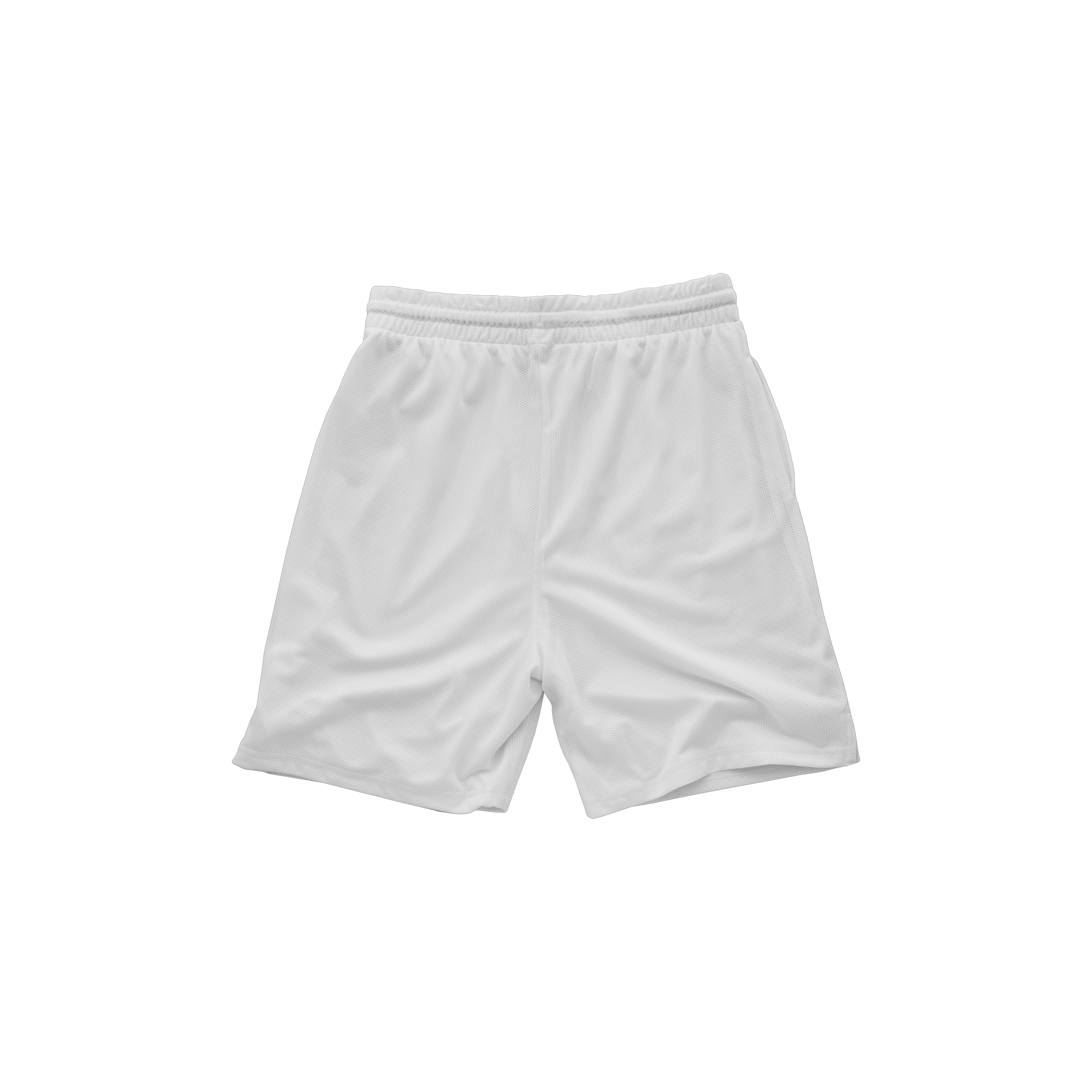 Mesh Basketball Short