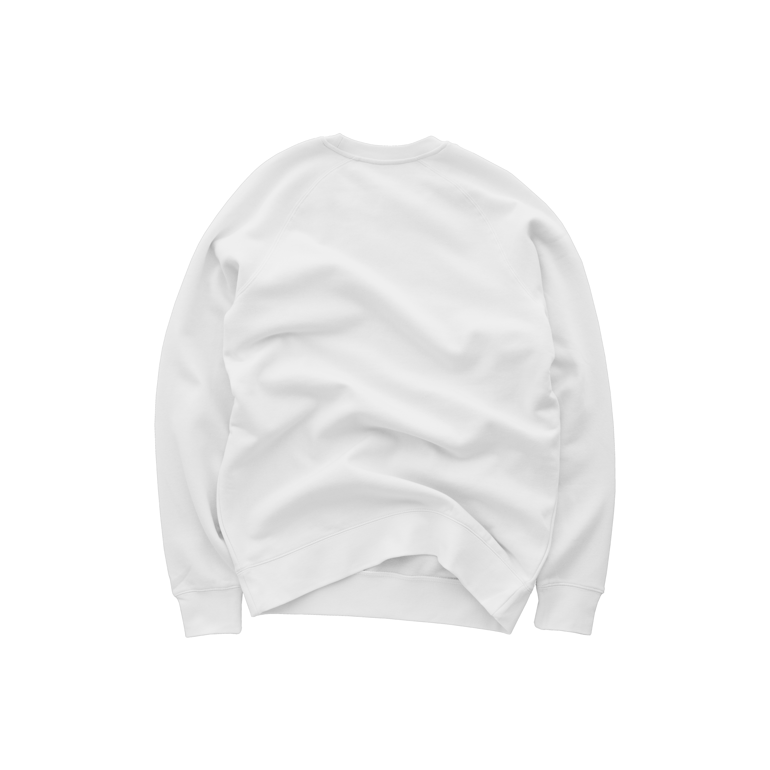 Raglan Crewneck Sweatshirt