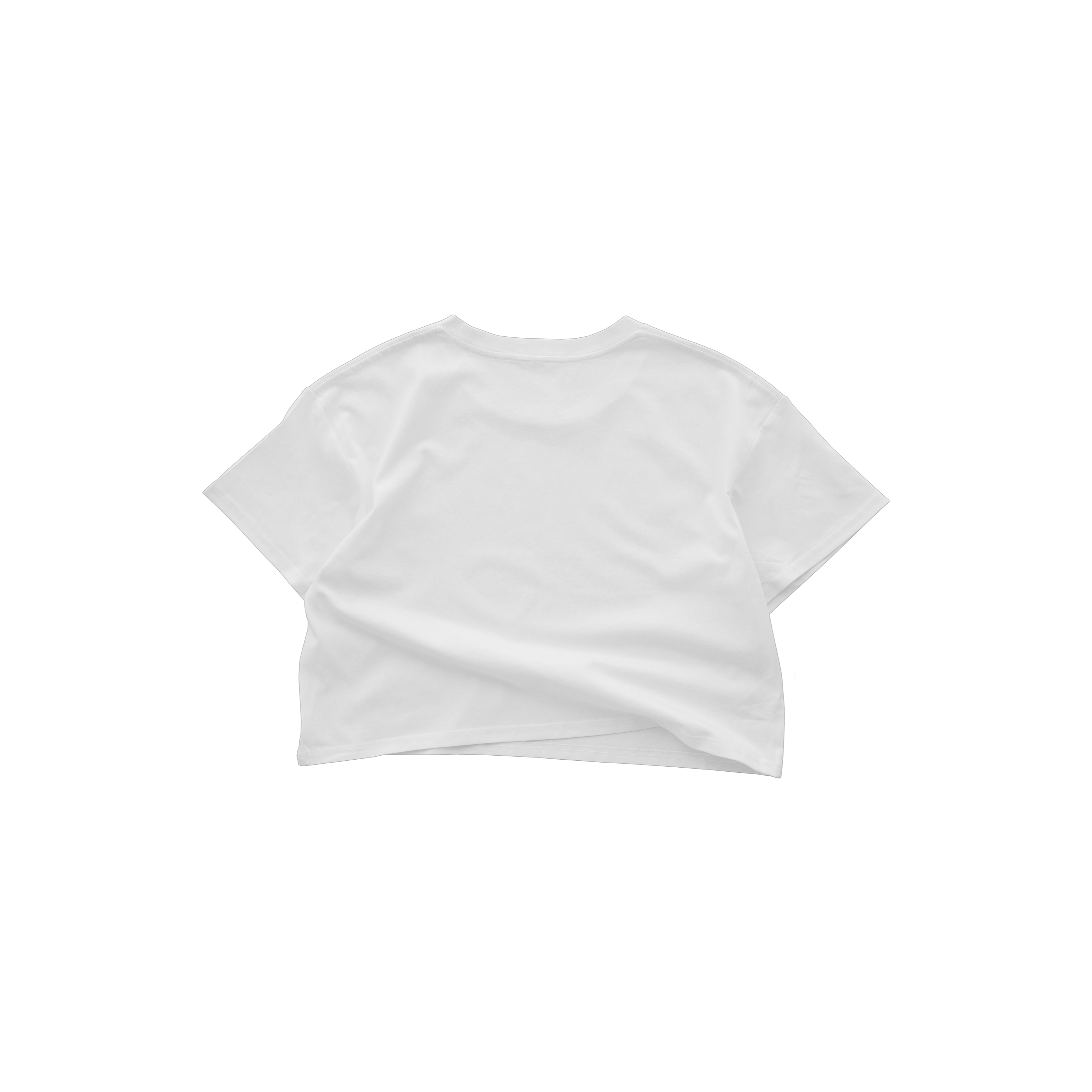 Womens Crop T-Shirt 002 Mockup
