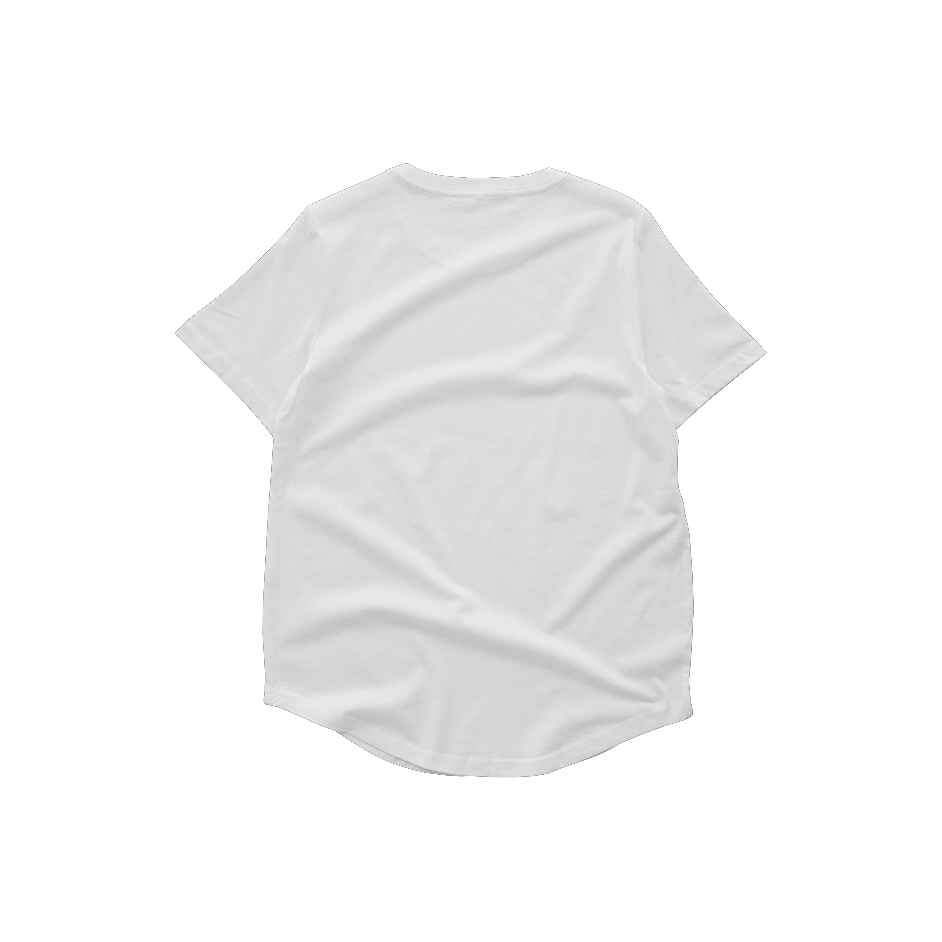 Womens Curve T-Shirt